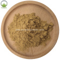 High quality ganoderma extract powder for Anti-Aging